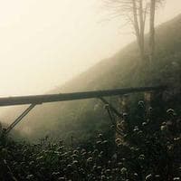 Main icon for Another